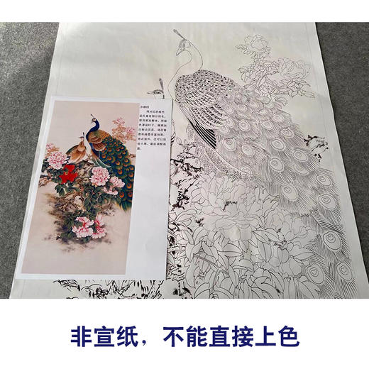 【有步骤】陈军工笔画白描底稿《雍容华贵》孔雀牡丹初学者临摹花鸟线稿CJ34 商品图2