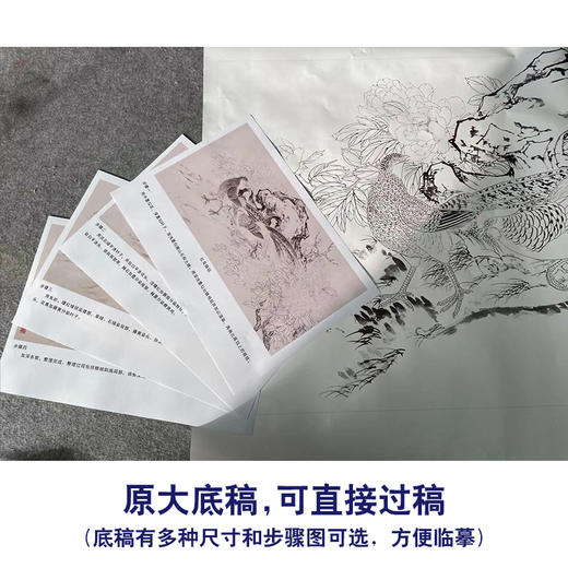 【有步骤】陈军四尺横幅工笔画白描底稿《红花锦羽》锦鸡牡丹初学者临摹花鸟线稿CJ22 商品图1