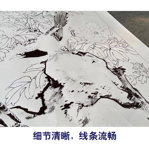 【有步骤】陈军四尺工笔画白描底稿《富贵吉祥》牡丹初学者临摹花鸟线稿CJ07 商品图4