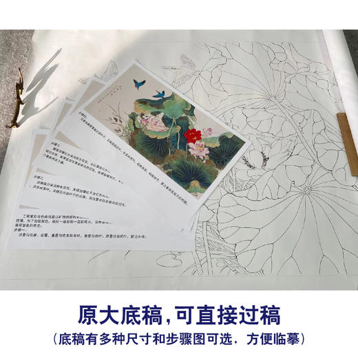 【有步骤】陈军横幅工笔画白描底稿《荷塘嬉戏》荷花翠鸟初学者临摹花鸟线稿CJ01 商品图1
