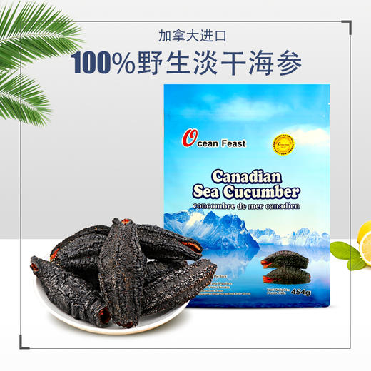 Ocean Feast 北极淡干海参【黄金级35头左右/454g袋装】 商品图1