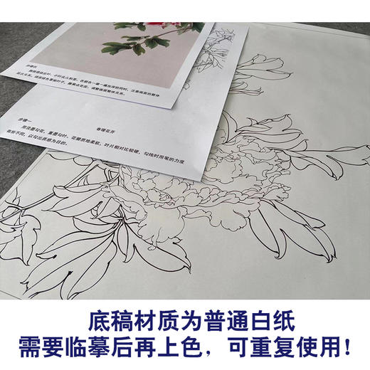 【有步骤】陈军工笔画白描底稿《春暖花开》牡丹初学者临摹花鸟线稿CJ10 商品图3