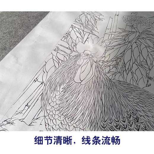 【有步骤】陈军四尺工笔画白描底稿《紫气迎祥》公鸡初学者临摹花鸟线稿CJ28 商品图4