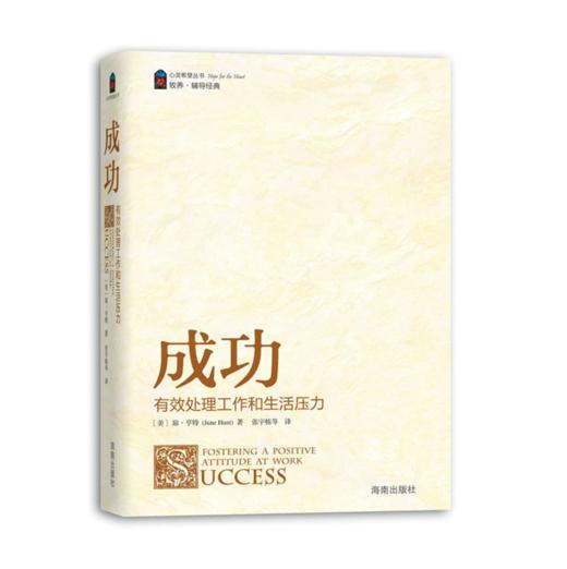 “心灵希望”丛书：成功——有效处理工作和生活压力（10个主题） 商品图0