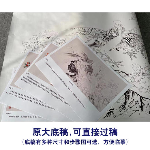 【有步骤】陈军横幅工笔画白描底稿《锦羽呈瑞》锦鸡牡丹初学者临摹花鸟线稿CJ25 商品图1