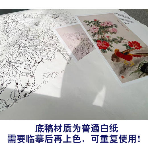 【有步骤】陈军工笔画白描底稿《锦上添花》锦鸡牡丹初学者临摹花鸟线稿CJ24 商品图3