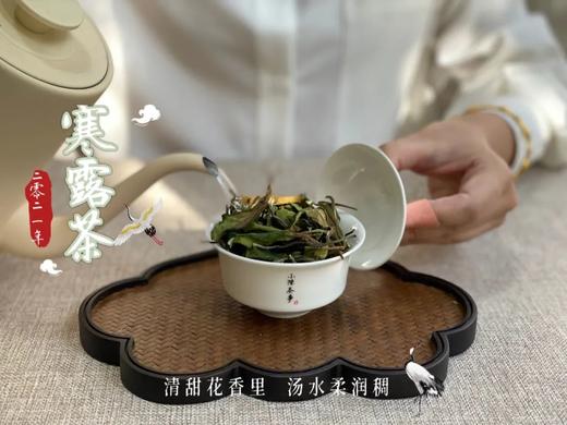 幽兰之香，清冷芬芳，2021寒露茶素雅若九秋菊，莹莹似月中之月（1斤装） 商品图4