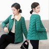AA  RC羽绒棉棉服仿羊羔毛翻领小棉袄轻便外套 商品缩略图1