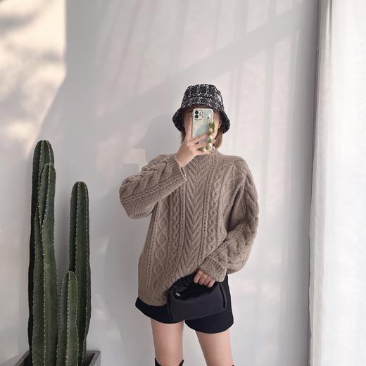 2021冬款纯色麻花休闲针织毛衣 商品图0