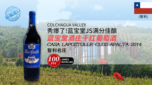 智利-蓝宝堂酒庄干红葡萄酒2014 商品图1
