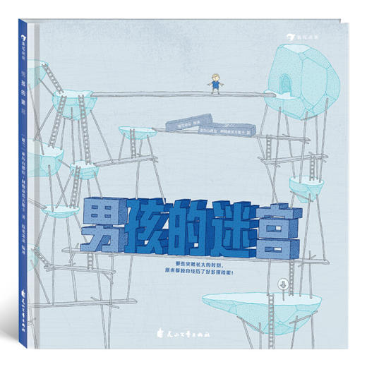 男孩的迷宫（精装） 商品图0