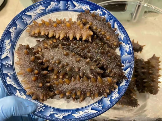 关东参 商品图6