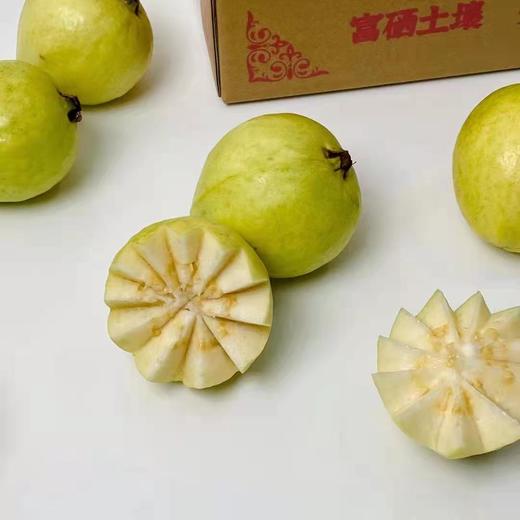 黄金奶油芭乐 草莓芭乐 商品图1