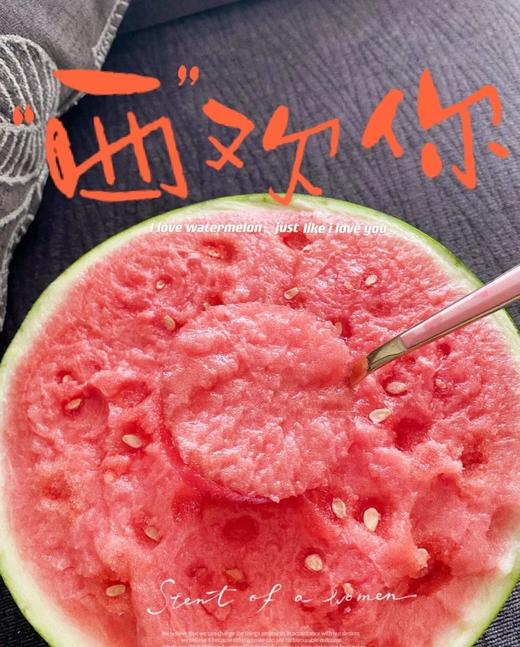 海南 麒麟瓜 单颗 大瓜 商品图2