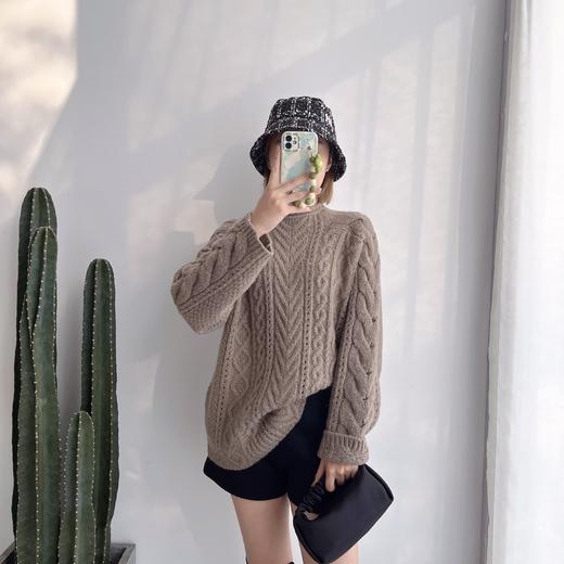 2021冬款纯色麻花休闲针织毛衣 商品图1