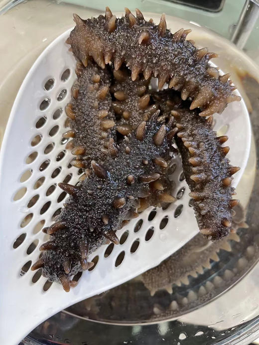 关东参 商品图9