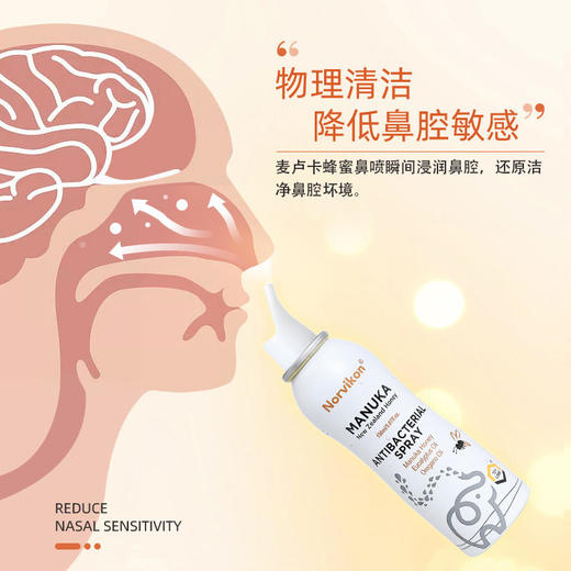 【鼻炎鼻塞救星一喷鼻通畅快呼吸】新西兰Norvikon麦卢​卡蜂蜜鼻通喷雾鼻炎鼻塞救星鼻腔干燥敏感喷嚏不止换季不适 商品图4