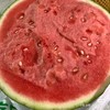 海南 麒麟瓜 单颗 大瓜 商品缩略图3