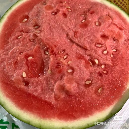 海南 麒麟瓜 单颗 大瓜 商品图3