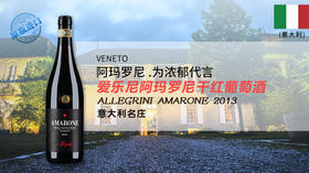 【意大利】爱乐尼阿玛罗尼干红葡萄酒2013