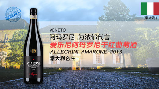 【意大利】爱乐尼阿玛罗尼干红葡萄酒2013 商品图0