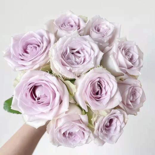 爱必达玫瑰海洋之谜a级10支装超长花期质量保证