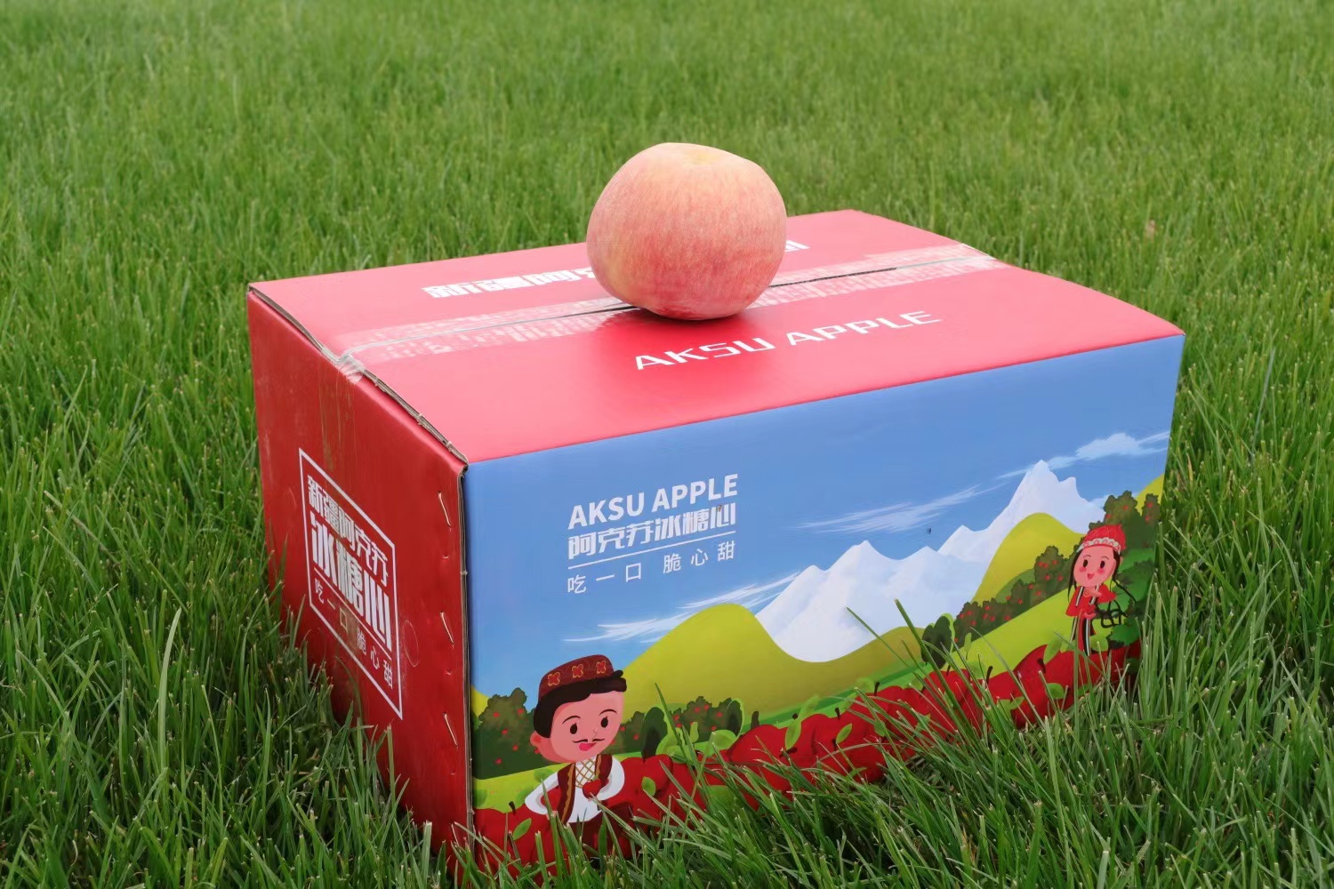 正宗 新疆阿克苏冰糖心苹果 5斤/8斤精美彩箱 充足的日照| 极大的昼夜