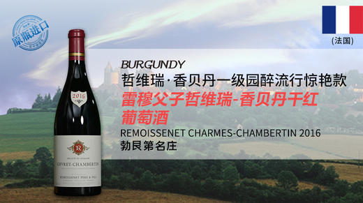 【法国】雷穆父子哲维瑞-香贝丹干红葡萄酒2016 商品图0