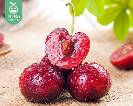 智利桑提娜2JD车厘子（约500g/盒） 商品图2