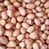 生态花生油 | 物理低温压榨 | 公平贸易 * Ecological Peanut Oil 商品缩略图2