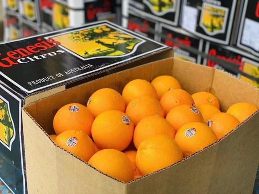 【澳洲甜橙 】12颗/份 来自澳洲的美味橙 橙味浓郁 果肉细腻 汁水十足 约230g/颗 商品图3