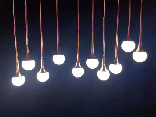 新款第二代十头芦苇灯串【运费自理】 商品图0