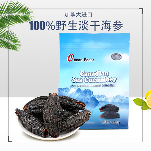 Ocean Feast 北极淡干海参【钻石级20头左右/454g袋装】 商品图1