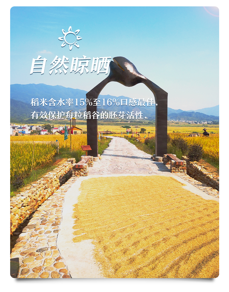 吉内得会员心意年卡 - 吉内得一亩良田旗舰店