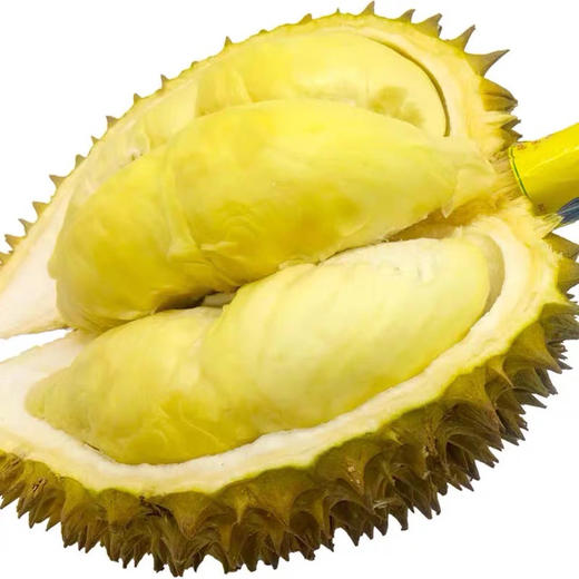 小马哥泰国金枕榴莲 树熟榴莲 35元一斤 商品图2