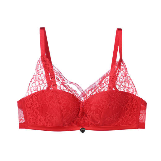 芬狄诗性感蕾丝小胸内衣女无钢圈五角聚拢上托包容文胸FB00166 商品图4