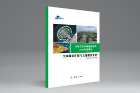 全球生态环境遥感监测2020年度报告——全球城市扩展与土地覆盖变化