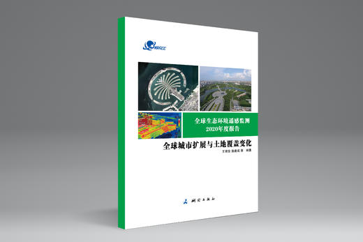 全球生态环境遥感监测2020年度报告——全球城市扩展与土地覆盖变化 商品图0