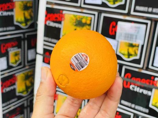 【澳洲甜橙 】12颗/份 来自澳洲的美味橙 橙味浓郁 果肉细腻 汁水十足 约230g/颗 商品图2