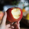 沙漠有机苹果（基地直发-京东包邮） | 多种规格，来自内蒙古赤峰，生产者：倪铁军【合作生产，公平贸易】 商品缩略图3