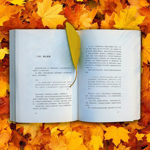 《落红萧萧》以一代才女、文学洛神萧红为原型创作 商品图2