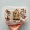 老上海肉汁烧麦 商品缩略图0