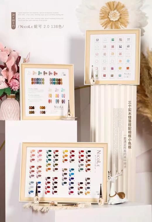 妮可2.0版全新升级138色套装 商品图3