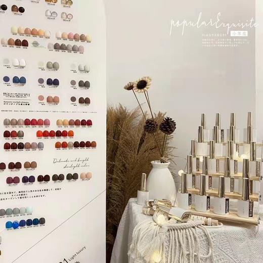 轻奢小羊皮系列148色套装 商品图2