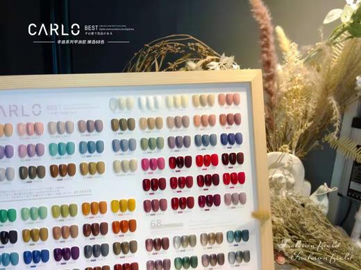 辛迪68色甲油胶（秒杀） 商品图4