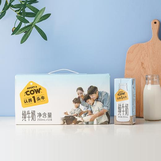 认养一头牛  纯奶1提 250ml*12盒  商品图0