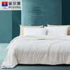 富安娜被芯沁享蚕丝春秋被 商品缩略图0