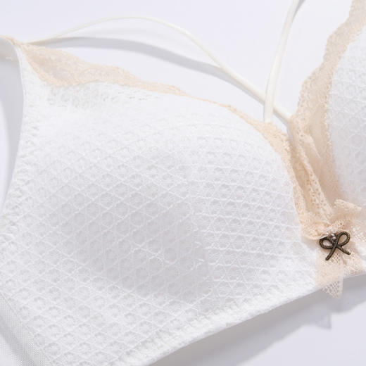 芬狄诗性感蕾丝无钢圈内衣女舒适小胸薄款文胸FB0168 商品图3