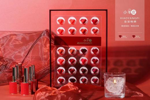 高定小羊皮经典红色系列24色套装（秒杀） 商品图0