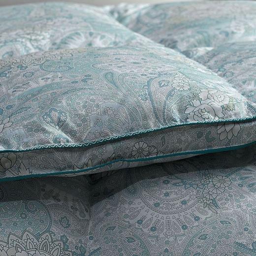 富安娜乌克兰进口抗菌鹅绒冬厚被 商品图5